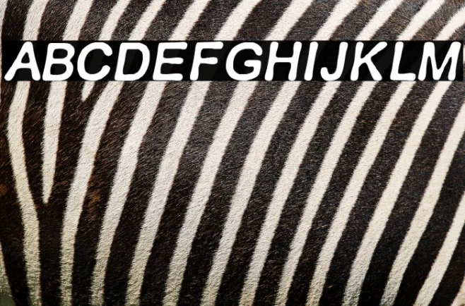 RETRO ITALICS Example 1