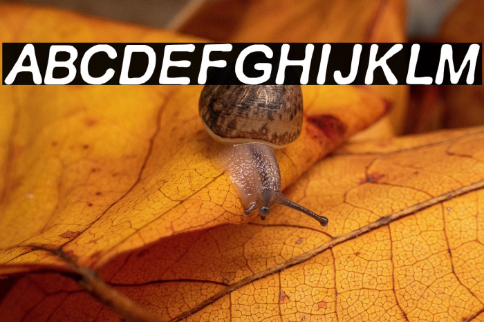 RETRO ITALICS Example 3