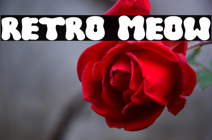 RETRO MEOW Example 1