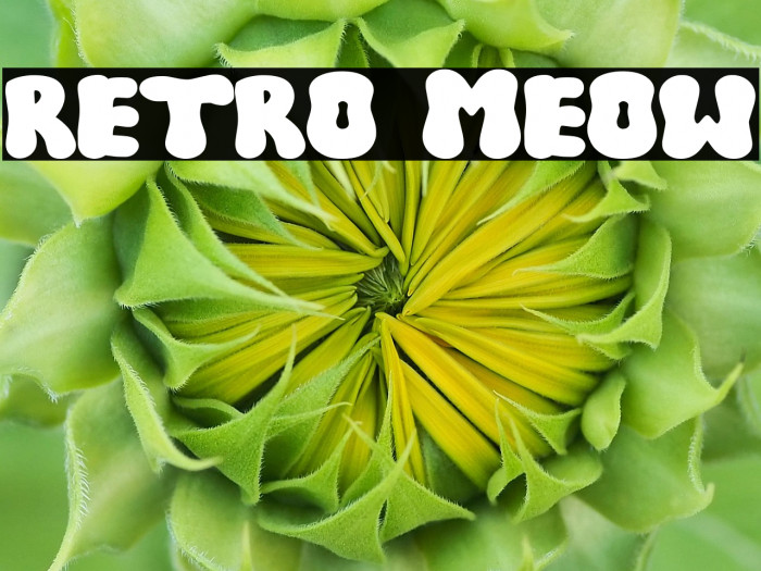 RETRO MEOW Example 2
