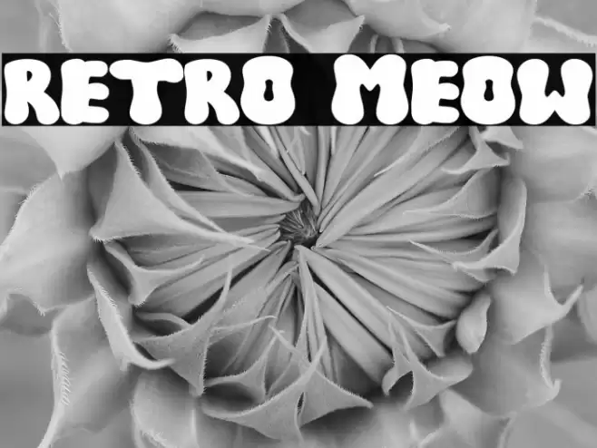 RETRO MEOW Font examples