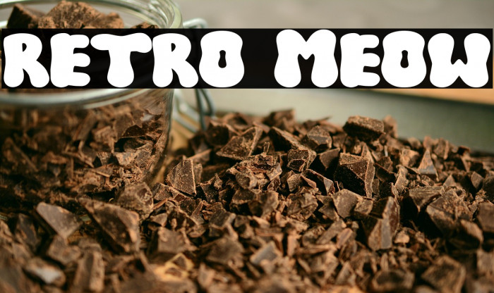 RETRO MEOW Example 3