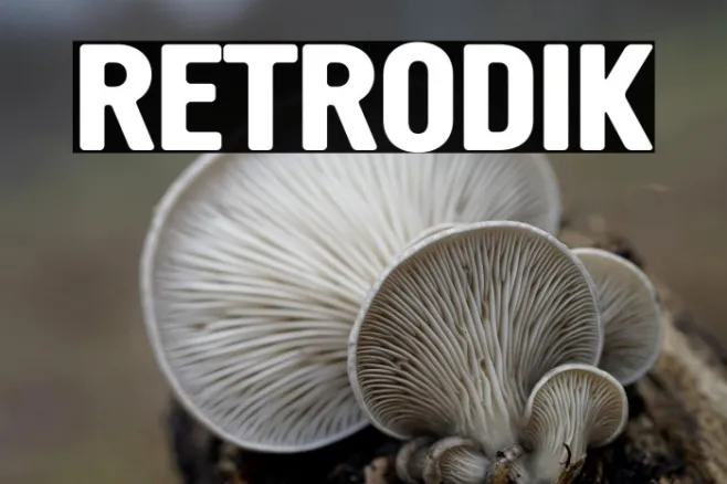 RETRODIK Example 3