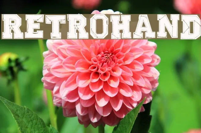 RETROHAND Example 1