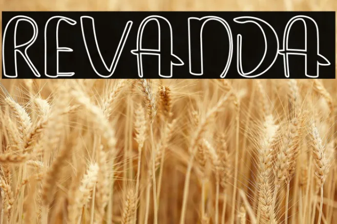 REVANDA Example 2
