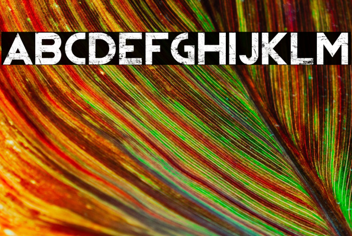 REVOLUTION II Example 2