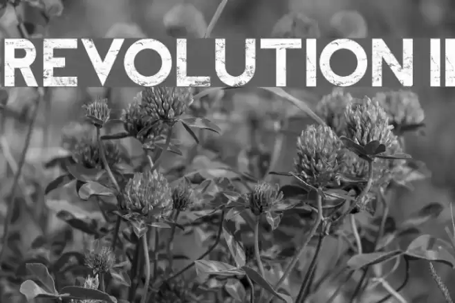 REVOLUTION II Font examples