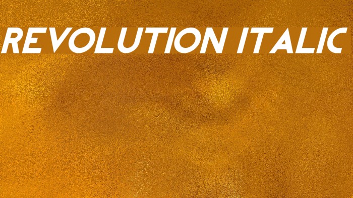REVOLUTION Italic フォント examples