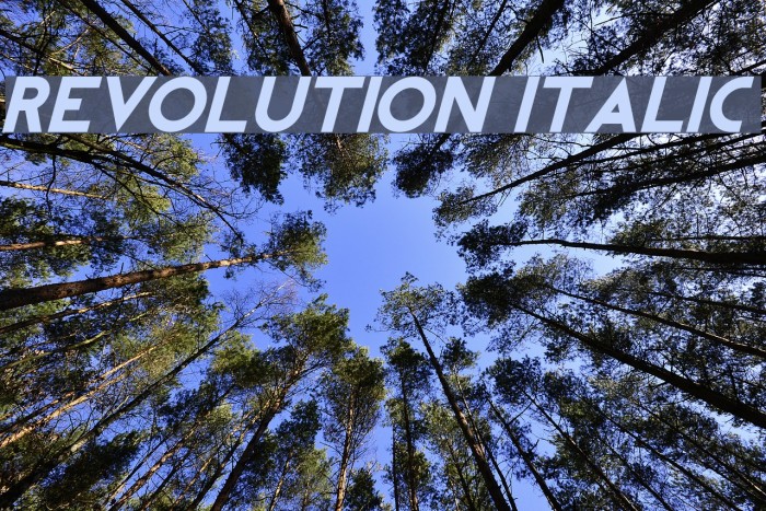REVOLUTION Italic フォント examples