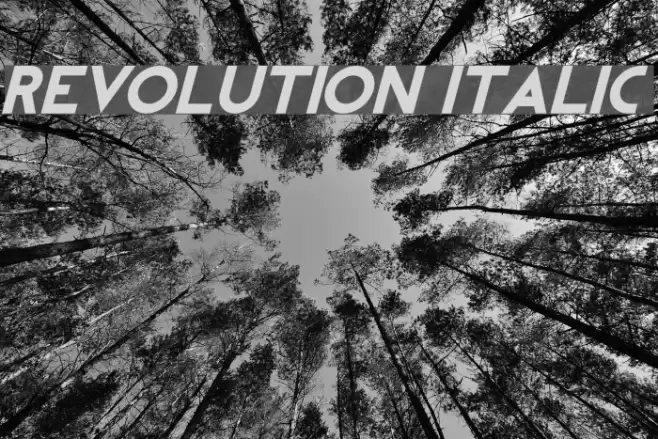 REVOLUTION Italic Font examples