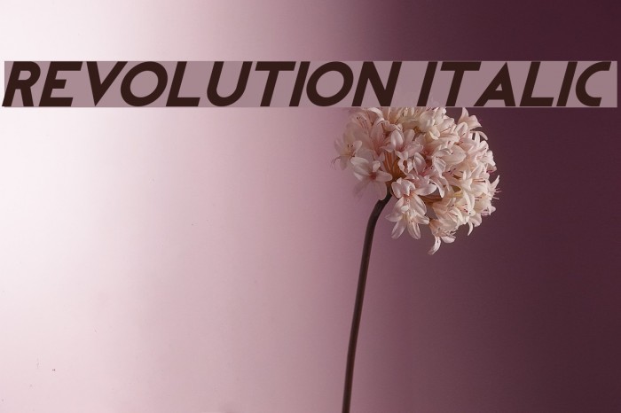 REVOLUTION Italic フォント examples