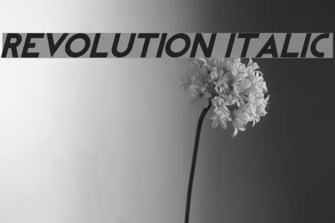 REVOLUTION Italic Font examples