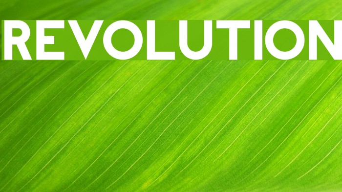 REVOLUTION Font examples
