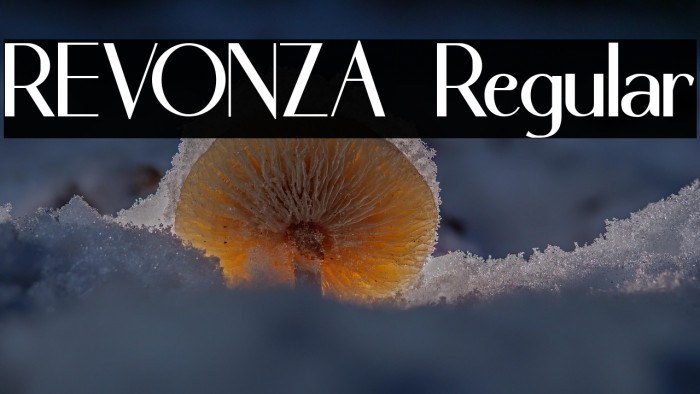 REVONZA Regular Example 1
