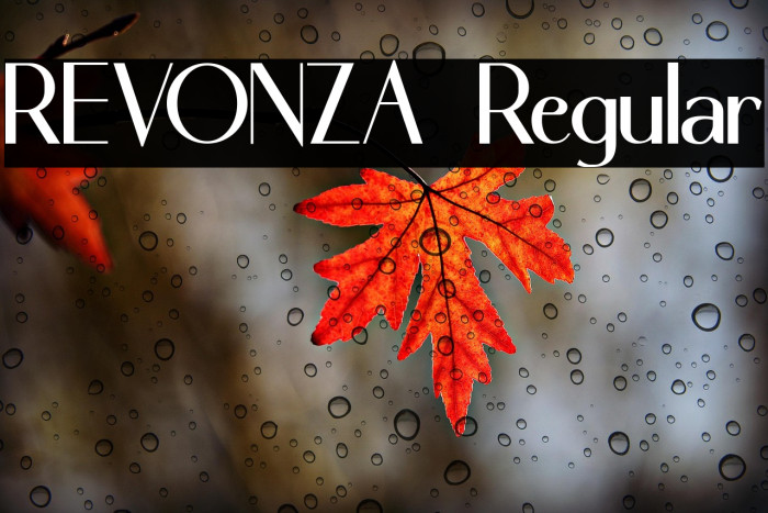 REVONZA Regular Example 3