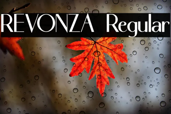 REVONZA Regular Example 3