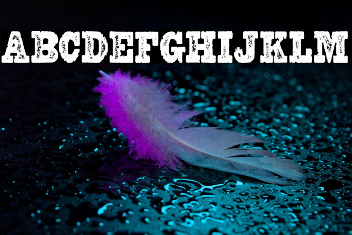 REWARD PERSONAL USE Regular Example 1