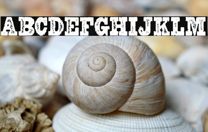 REWARD PERSONAL USE Regular Example 2