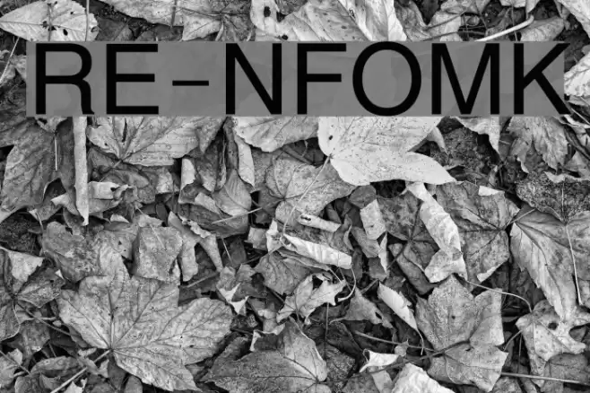 RE_iNFOM-Kaveri Font examples