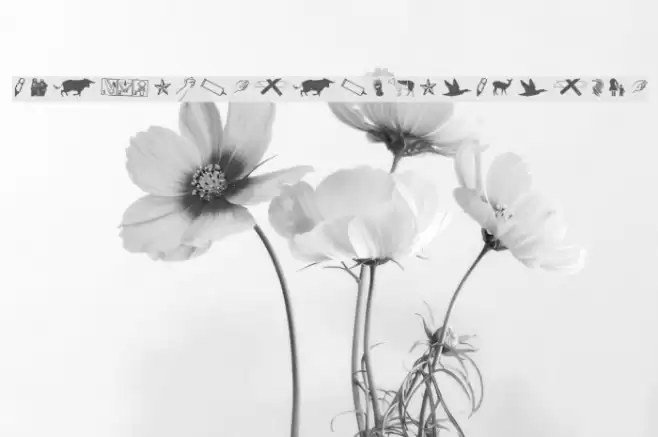 REconstructDing-Regular Font examples