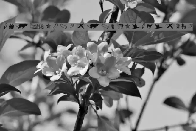 REconstructDing-Regular Font examples