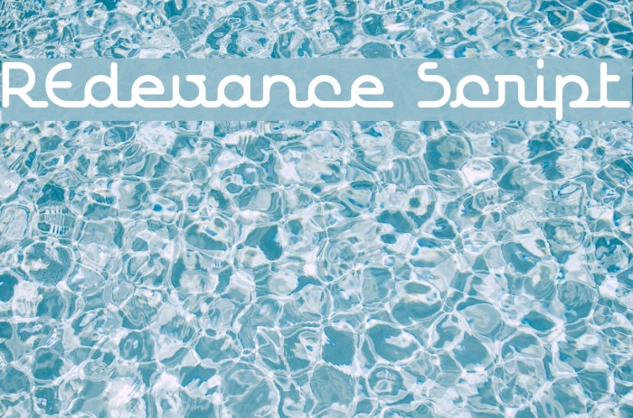 REdevance Script Font examples