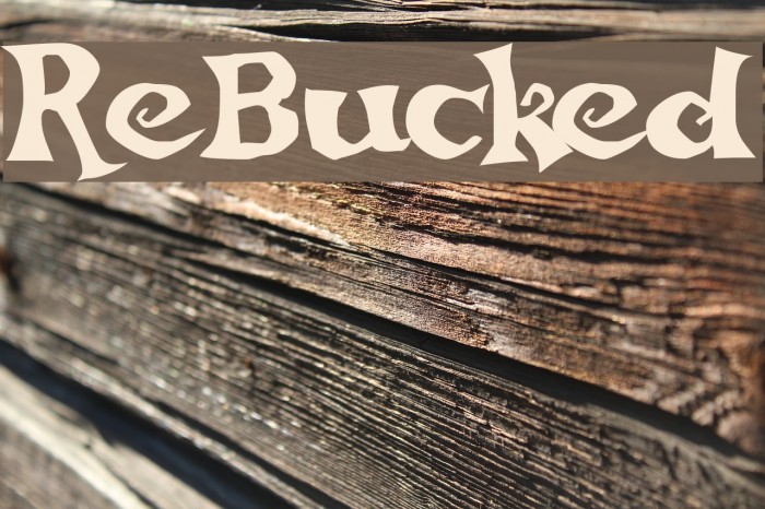 ReBucked Font examples