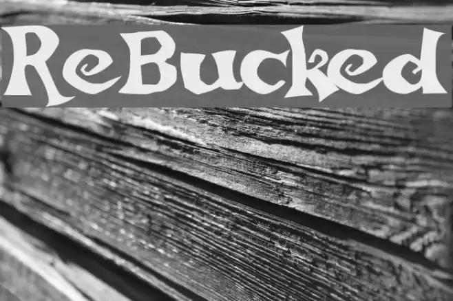 ReBucked Font examples