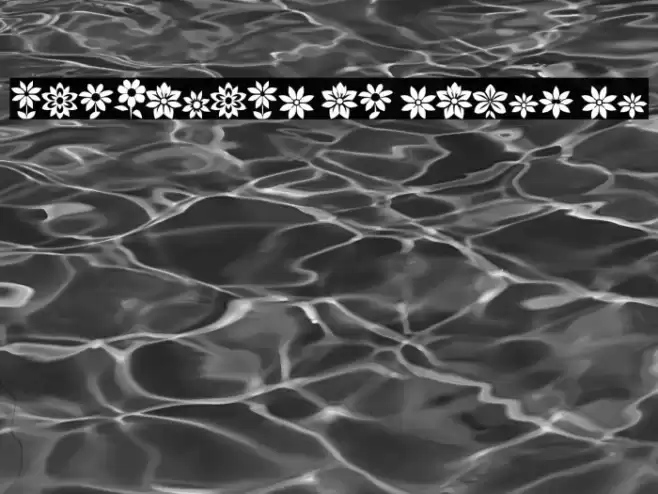 ReFlowers of South St Caratteri examples