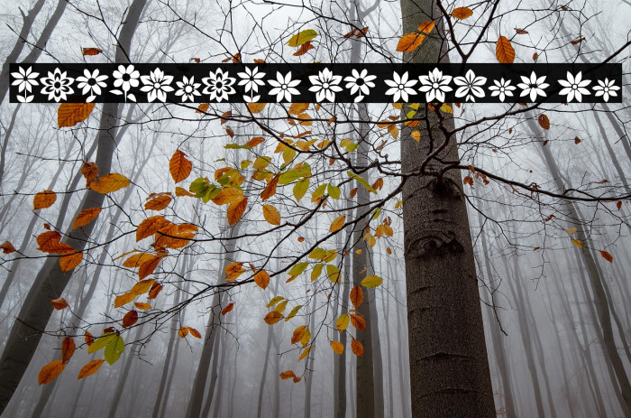 ReFlowers of South St Example 3