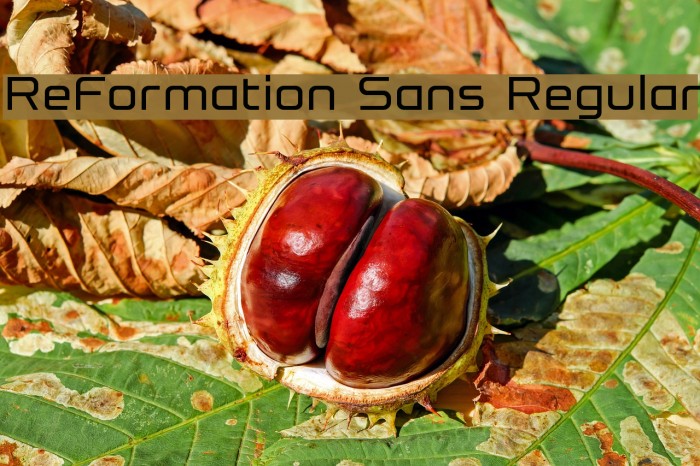 ReFormation Sans Regular Font examples