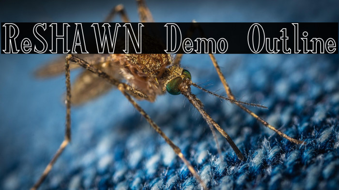 ReSHAWN Demo Outline Example 1