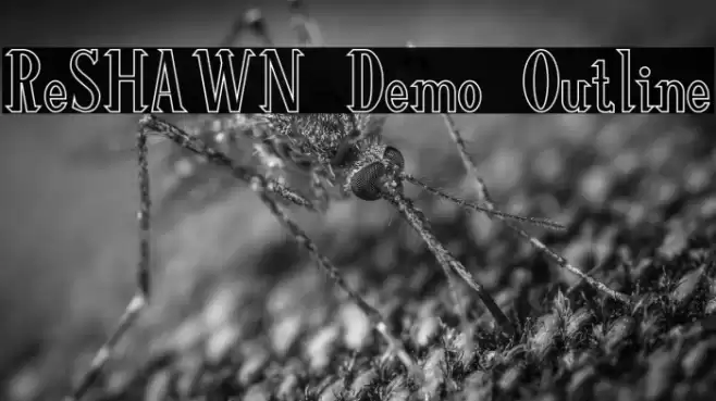 ReSHAWN Demo Outline Polices examples