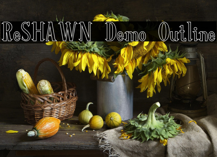 ReSHAWN Demo Outline Example 3