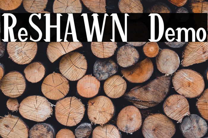 ReSHAWN Demo Example 2