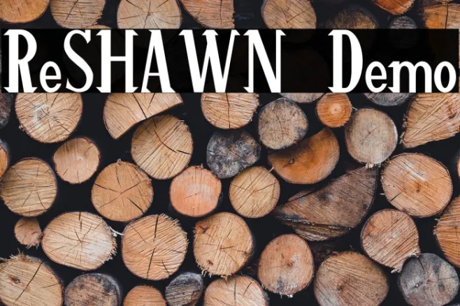 ReSHAWN Demo Example 2