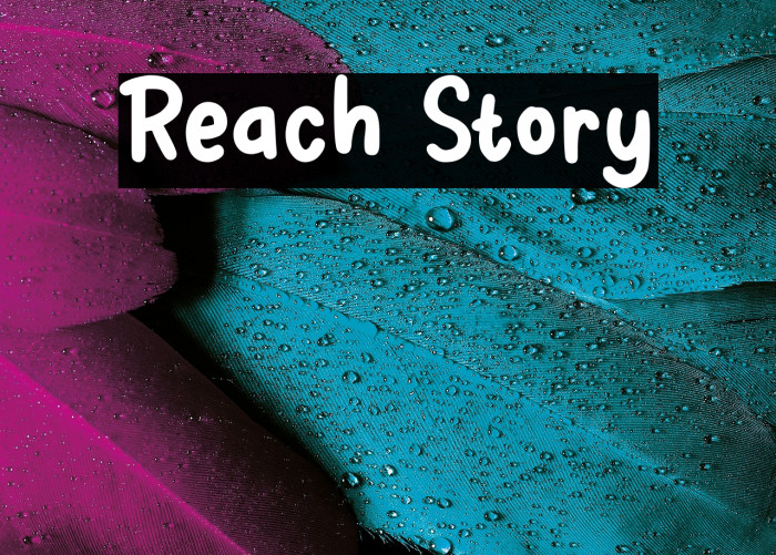 Reach Story Example 3