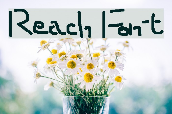 Reach Font examples