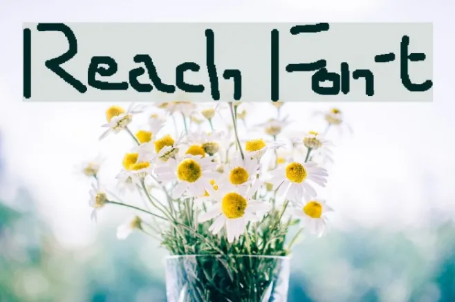 Reach Example 2