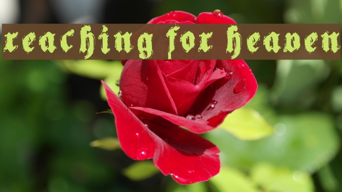 Reaching for Heaven Font examples