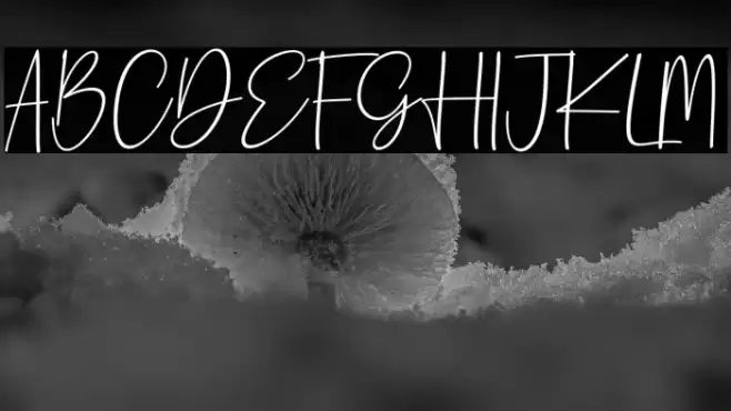 Reactin Font examples