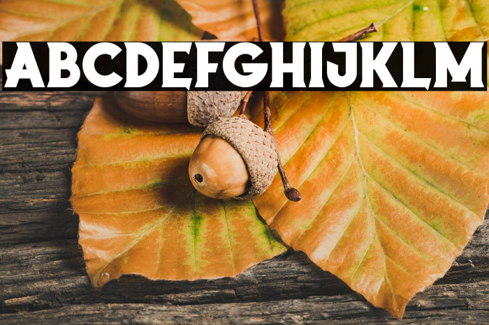 Reactive Anchor Example 1