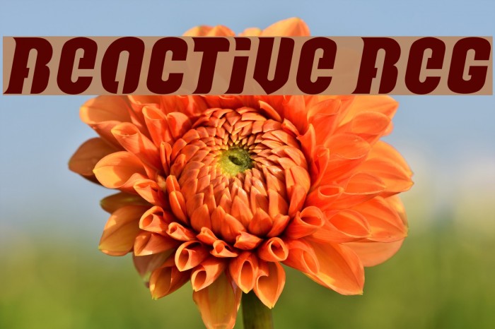Reactive Reg Font examples