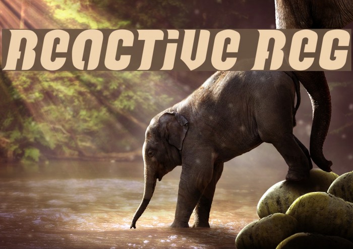 Reactive Reg Font examples