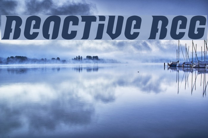 Reactive Reg Font examples