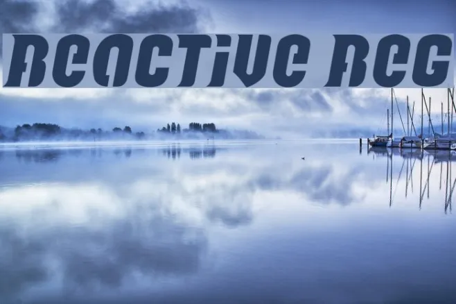 Reactive Reg Example 3