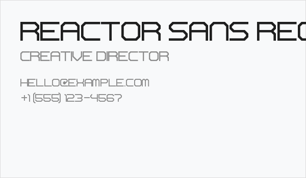 Reactor Sans Regular Business Card