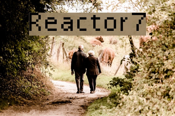 Reactor7 Example 3