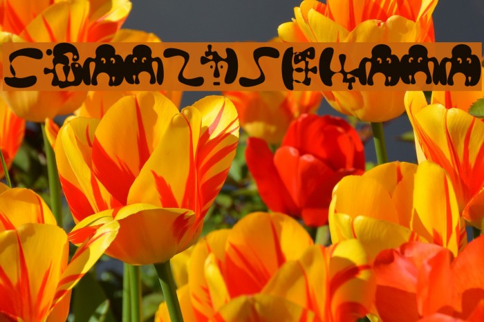 ReadItOrDada Font examples