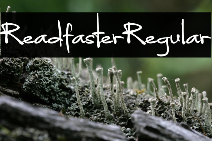 ReadfasterRegular Example 1